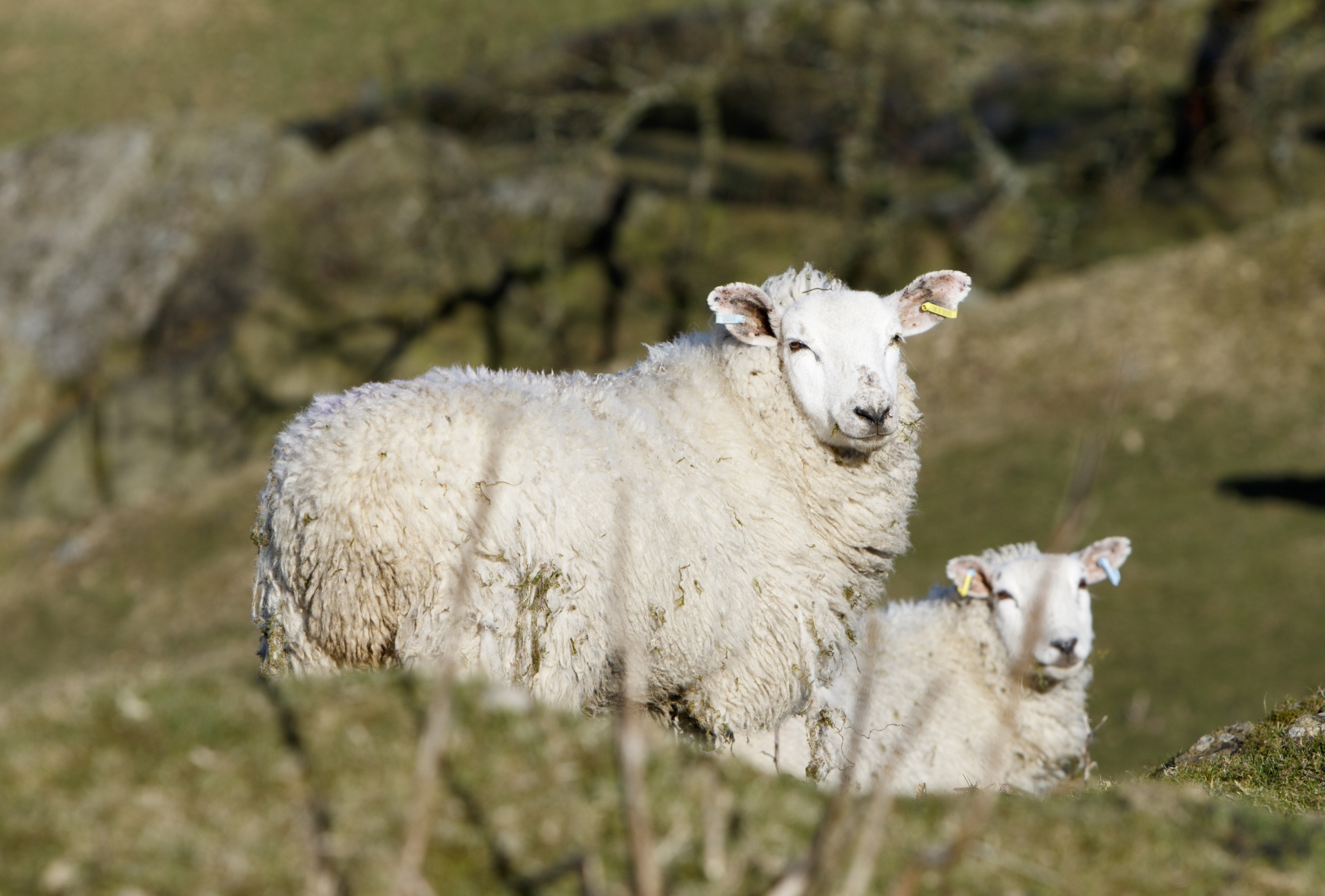 Gallery Hero Background